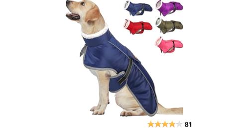 Best deals for everyday items at special prices daily